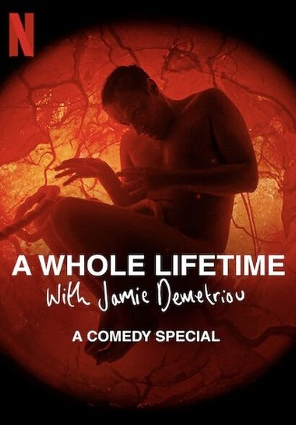 ดูหนังใหม่ A WHOLE LIFETIME WITH JAMIE DEMETRIOU (2023)